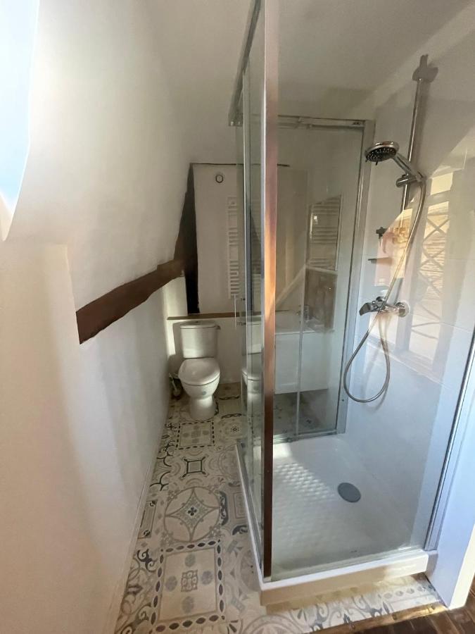 Aux Pieds De Beauval -Des Chateaux-2 Montrichard Εξωτερικό φωτογραφία
